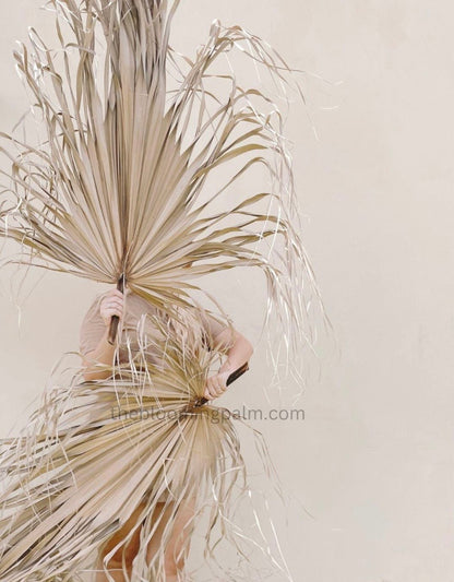 Giant Set of 5 Dried Palm Leaves, Wedding Arrangements, DIY Wedding Decor for Outdoor & Indoor, Boho Wedding Backdrops, XL Photoshoot Props
