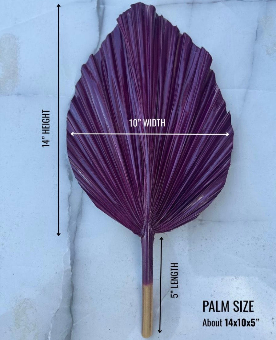 14” Custom Color Painted Palm Leaves (no extra cost) 3pcs