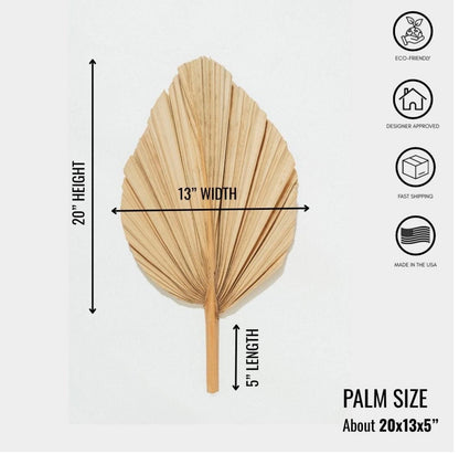 20X15" LARGE Natural Sun-Dried Boho-Style Palm Leaf Home Decor, Free Shipping!