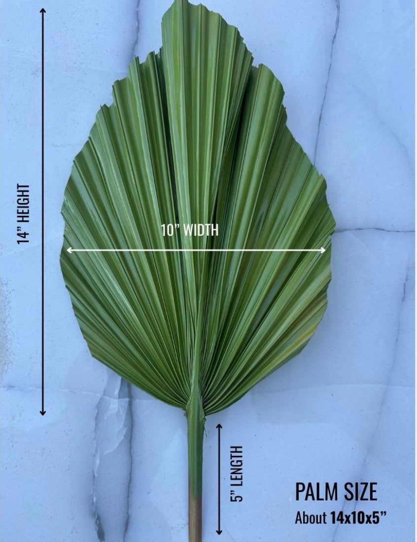14” Custom Color Painted Palm Leaves (no extra cost) 3pcs