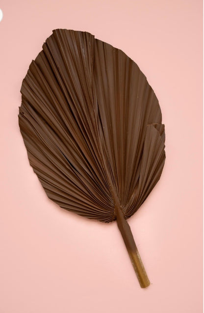 SET Of THREE Chocolate Brown Hand Painted Palm Spear Leaves, 3 Piece Natural Dried Leaves for DIY Decorations, Organic Natural Home Decor