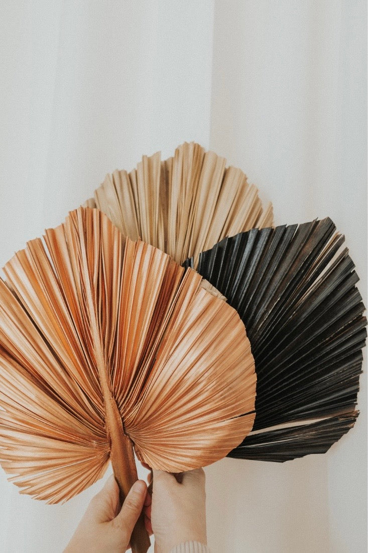 Includes 3 Palms: 12"W X 17"L Charcoal BLACK Medium Dried Palm Leaf | Palm Fan | Tropical Decor | DIY Floral Arrangements | Home | Party | Wedding | Boho Decor | Free Ships Flat, Ready to Use! 3 PCS