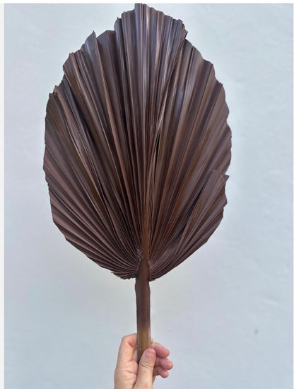 SET Of THREE Chocolate Brown Hand Painted Palm Spear Leaves, 3 Piece Natural Dried Leaves for DIY Decorations, Organic Natural Home Decor
