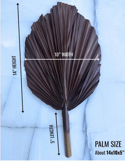 14” Custom Color Painted Palm Leaves (no extra cost) 3pcs