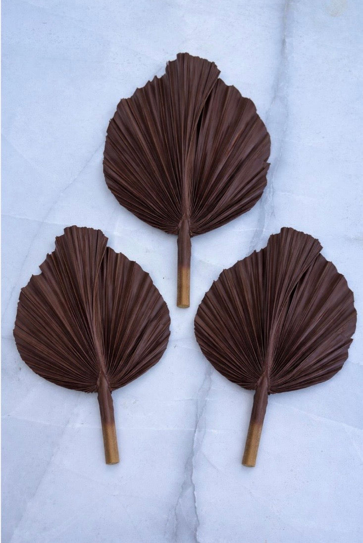 SET Of THREE Chocolate Brown Hand Painted Palm Spear Leaves, 3 Piece Natural Dried Leaves for DIY Decorations, Organic Natural Home Decor