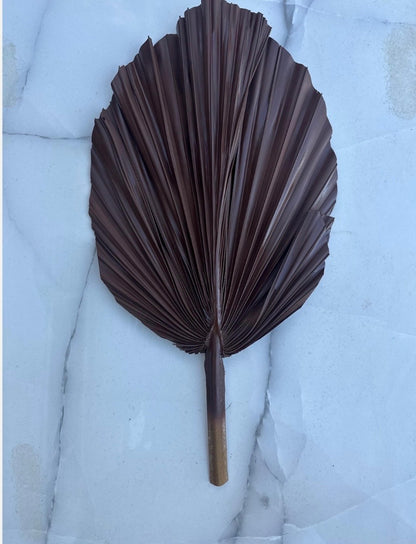 SET Of THREE Chocolate Brown Hand Painted Palm Spear Leaves, 3 Piece Natural Dried Leaves for DIY Decorations, Organic Natural Home Decor
