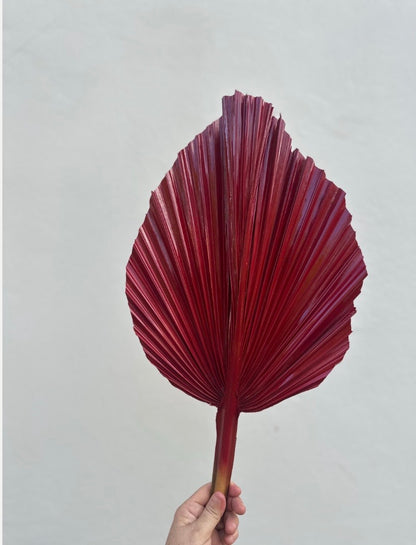 NEW! Burgundy Red Hand Painted Leaves Set, 3 Piece Dried Palm Spear Frond Leaf, Nature Inspired Apartment Decor, DIY Wedding Arrangements