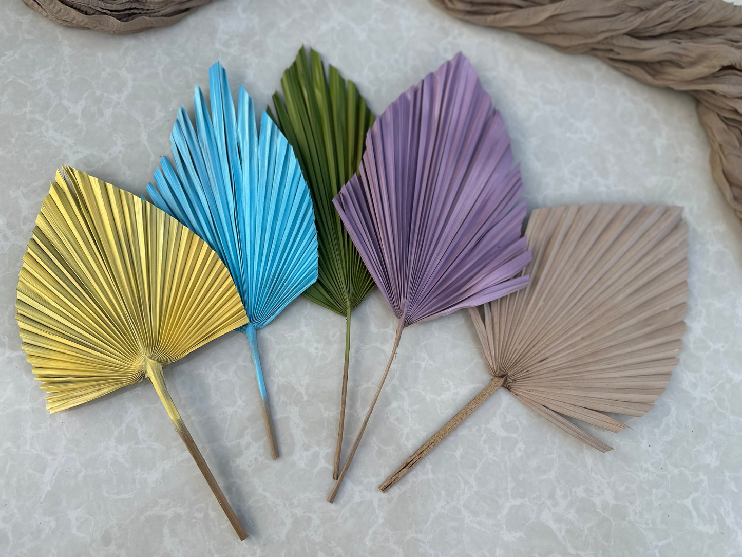 Mini Pampass Grass & Palm Bouquet Bundle + FREE Vase + FREE Shipping