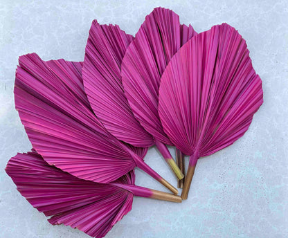 Includes 3 Palms: 12"W X 17"L Medium PINK Dried Palm Leaf | Palm Fan | Tropical Decor | DIY Floral Arrangements | Home | Party | Wedding | Boho Decor | Free Ships Flat, Ready to Use! 3 PCS