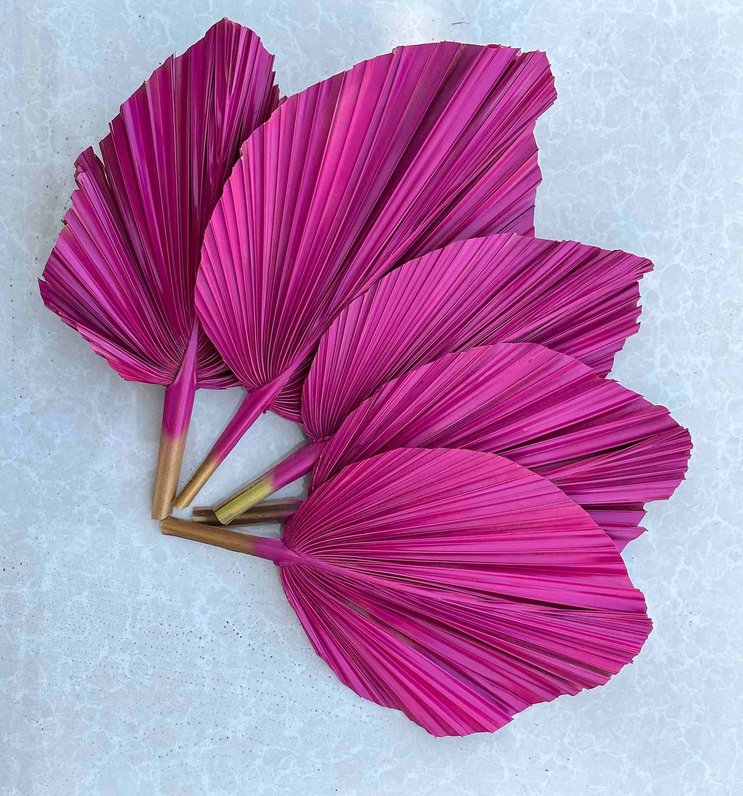14" PINK Natural Dried Palm Leaf, Palm Frond, for Home/Party/Wedding Decor Spear Leaf 1pc