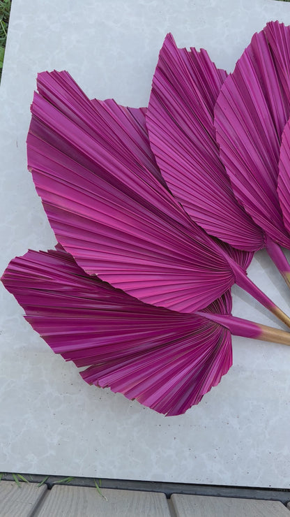 Includes 3 Palms: 12"W X 17"L Medium PINK Dried Palm Leaf | Palm Fan | Tropical Decor | DIY Floral Arrangements | Home | Party | Wedding | Boho Decor | Free Ships Flat, Ready to Use! 3 PCS