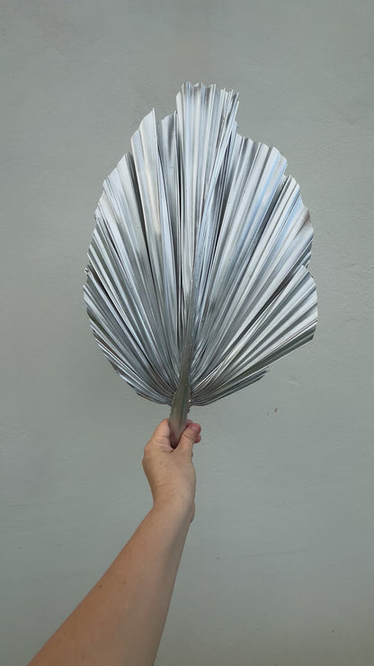 Includes 3 Palms: 12"W X 17"L Medium SILVER Dried Palm Leaf | Palm Fan | Tropical Decor | DIY Floral Arrangements | Home | Party | Wedding | Boho Decor | Free Ships Flat, Ready to Use! 3 PCS