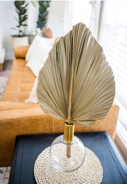 20X15" LARGE Natural Sun-Dried Boho-Style Palm Leaf Home Decor, Free Shipping!