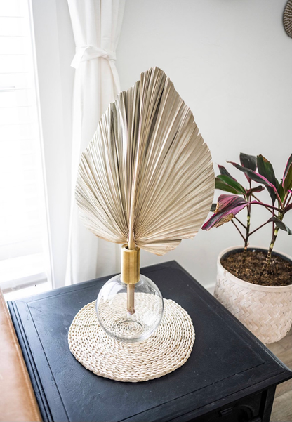 20X15" LARGE Natural Sun-Dried Boho-Style Palm Leaf Home Decor, Free Shipping!