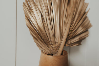 Includes 3 Palms: 12"W X 17"L Medium GOLD Dried Palm Leaf | Palm Fan | Tropical Decor | DIY Floral Arrangements | Home | Party | Wedding | Boho Decor | Free Ships Flat, Ready to Use! 3 PCS