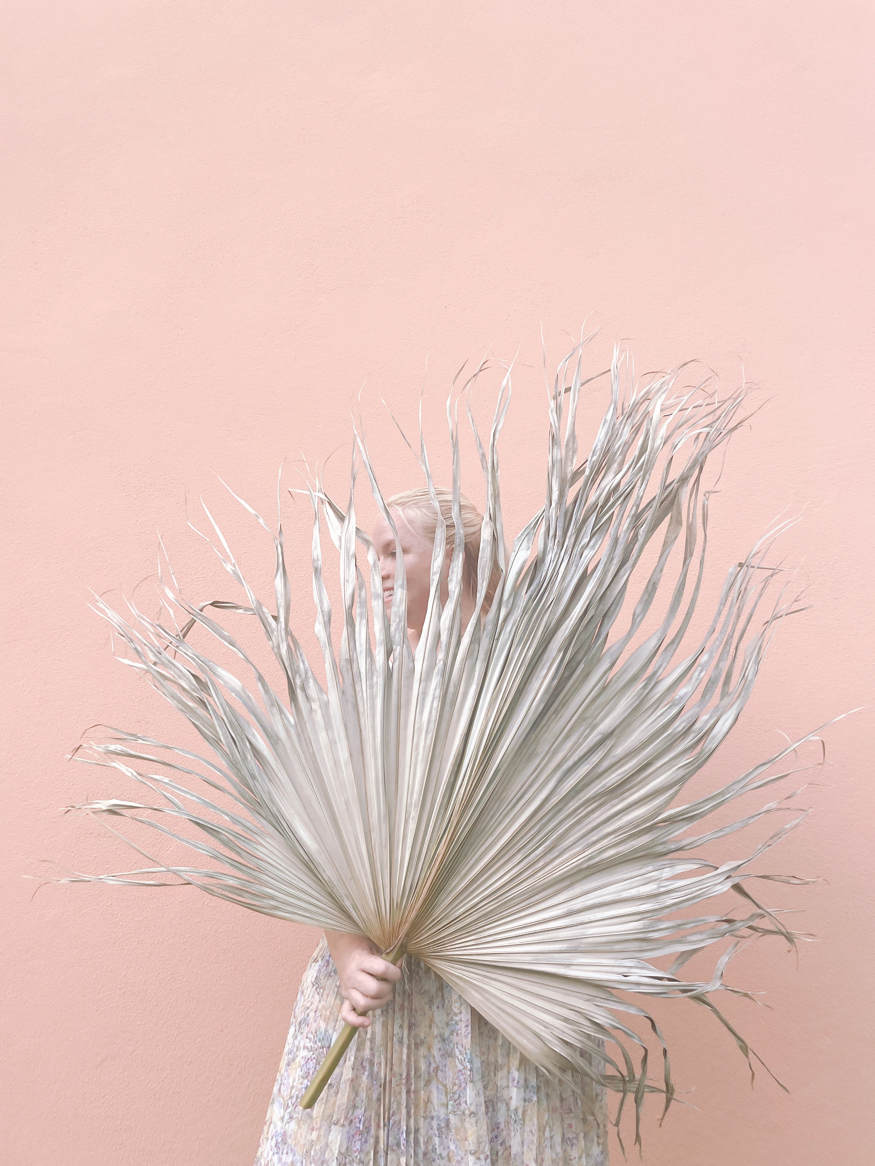 3ft. JUMBO Palm Leaf, Wispy-Ended Dried Palm Leaves, Beige Palm, Natural Sun-Dried Palm Leaf, 🌿 Luxe Dried Palm Leaves – Natural Minimalist Statement Décor